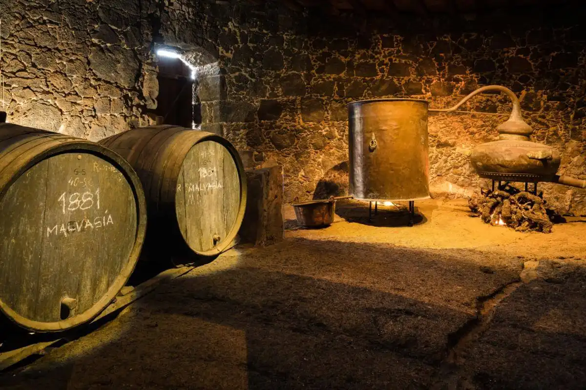 Descubre el Museo del Vino El Grifo en Lanzarote