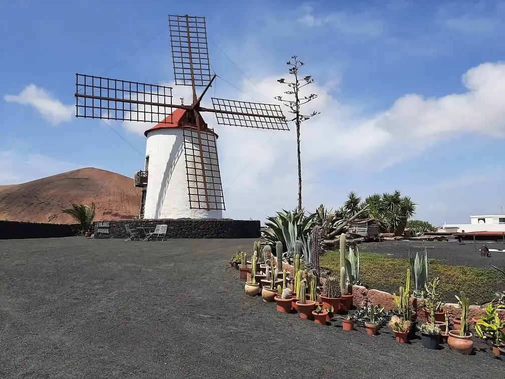 Descubre Tiagua y el Museo Agrícola El Patio: Un Viaje Cultural en Lanzarote